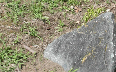 LA PIETRA GUARITRICE DI ISANA