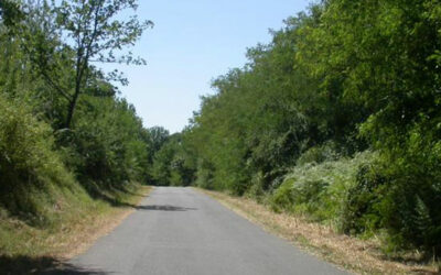 LA STRADA CHE SALE… IN DISCESA!
