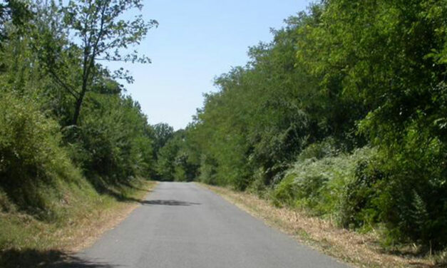 LA STRADA CHE SALE… IN DISCESA!