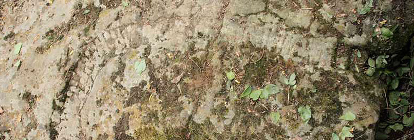 Un antico serpente di pietra lungo 3 metri
