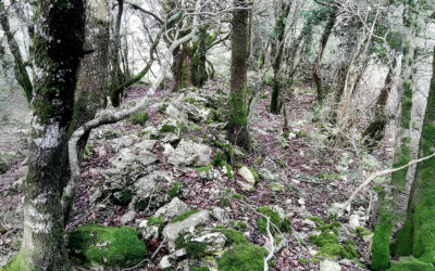 UNA MISTERIOSA COSTRUZIONE CIRCOLARE IN PIETRA SUI MONTI MARTANI