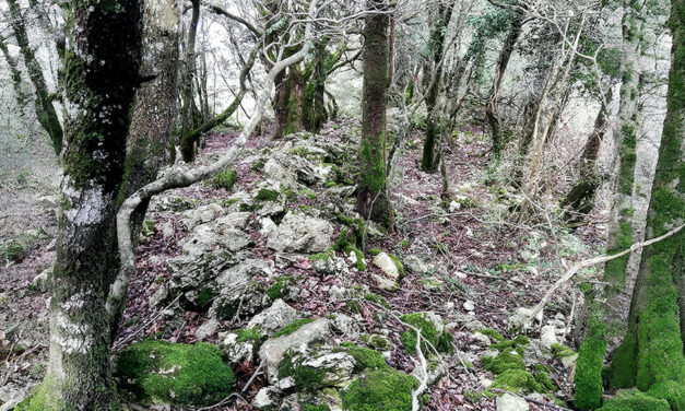 UNA MISTERIOSA COSTRUZIONE CIRCOLARE IN PIETRA SUI MONTI MARTANI