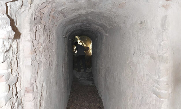 L’ESOTERISMO DELLA CASSA MORTUARIA DI SAN FRANCESCO