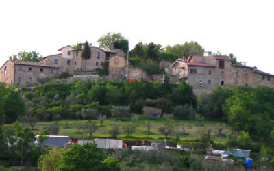 IL GIARDINO DEL COLONNELLO