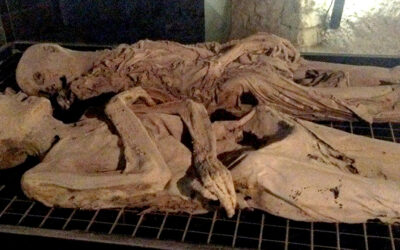 LE MUMMIE DI FERENTILLO