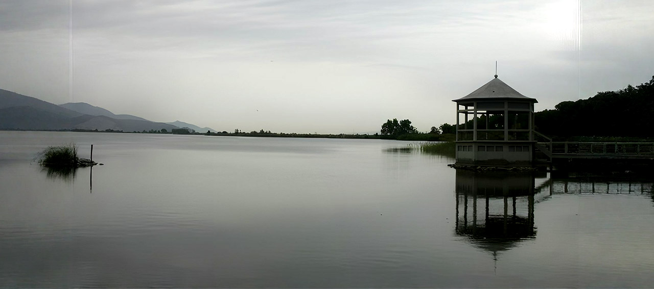 QUI ABITA ANCORA GIACOMO PUCCINI E IL CANE DEL LAGO