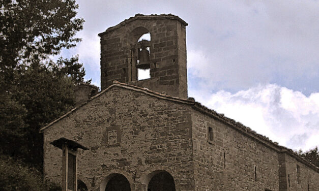 LA LINEA DELLA ROSA