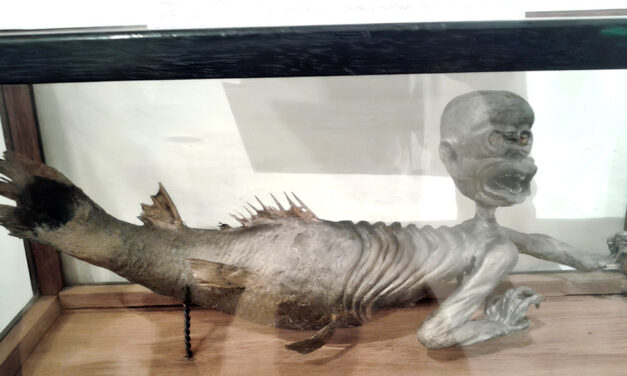 La chimera di Trieste