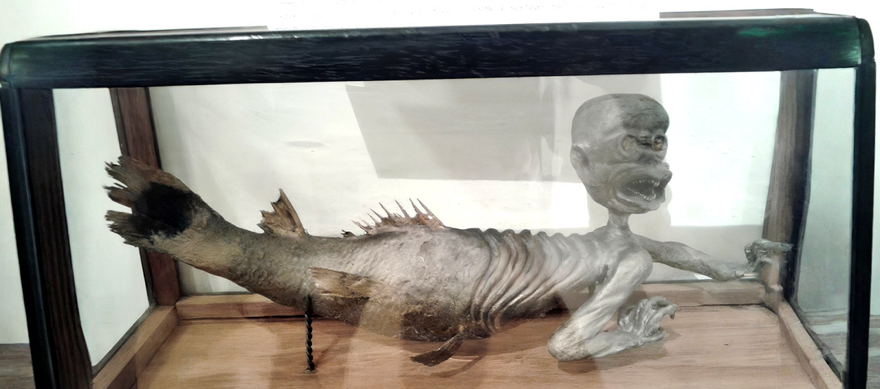 La chimera di Trieste