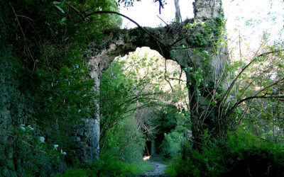 GALERIA VECCHIA, UN’AFFASCINANTE “CITTÀ DEL SILENZIO