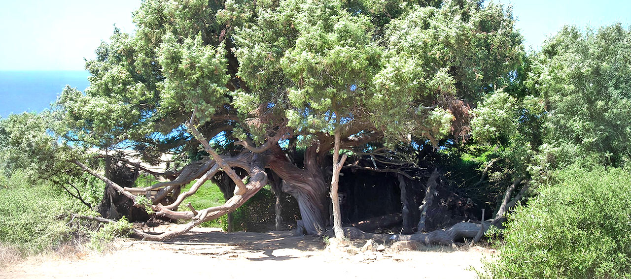 La casa del poeta
