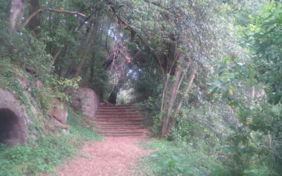 IL SACRO BOSCO DI SUTRI