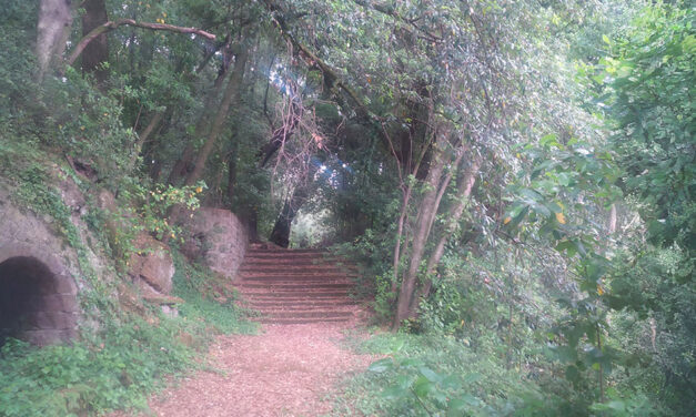IL SACRO BOSCO DI SUTRI