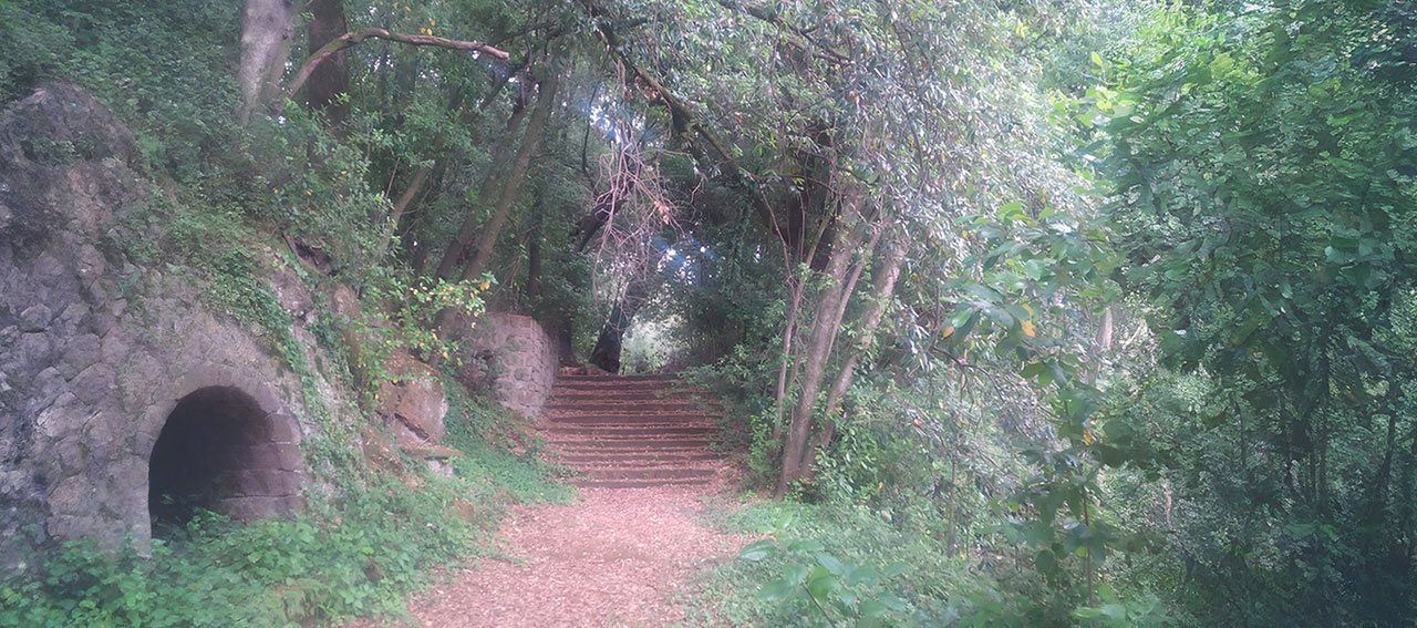 IL SACRO BOSCO DI SUTRI