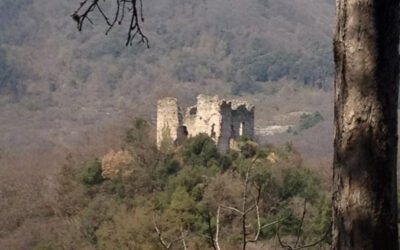 ENERGIE TELLURICHE E IL “FLUSSO DI PURIFICAZIONE”