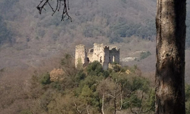 ENERGIE TELLURICHE E IL “FLUSSO DI PURIFICAZIONE”