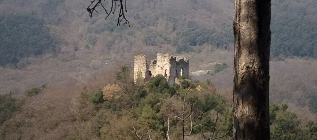 ENERGIE TELLURICHE E IL “FLUSSO DI PURIFICAZIONE”