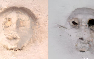 SANTA GIUSTA E IL TESORO NASCOSTO