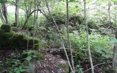 NOLA, IL BORGO CHE NON C’E’… PIU’