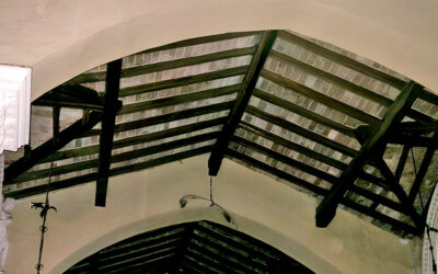 LA STRANA COSTOLA CHE PENDE DAL SOFFITTO