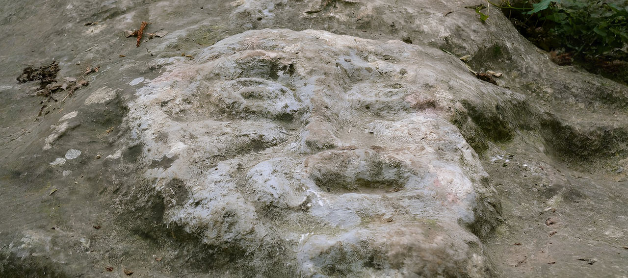 IL DIAVOLO DEI BOSCHI DI REZZATO