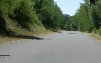 IL VIOTTOLO DELLE STREGHE