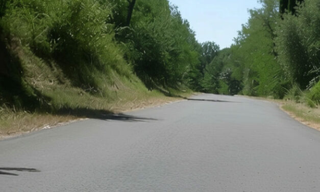 IL VIOTTOLO DELLE STREGHE