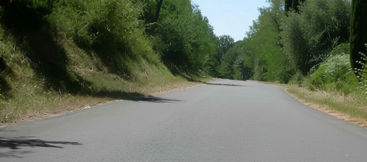 IL VIOTTOLO DELLE STREGHE