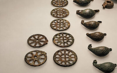 Il museo di Cecina