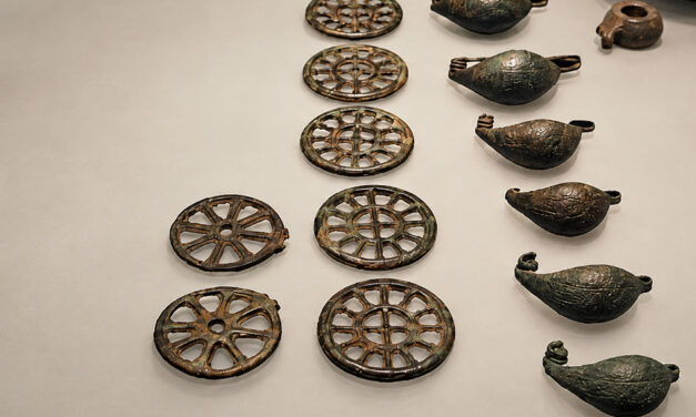 Il museo di Cecina